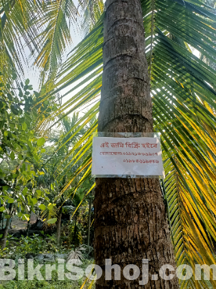 জমি বিক্রি